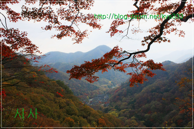 만추의 백양사 아름다운 단풍 2탄...2012. 11월 7일