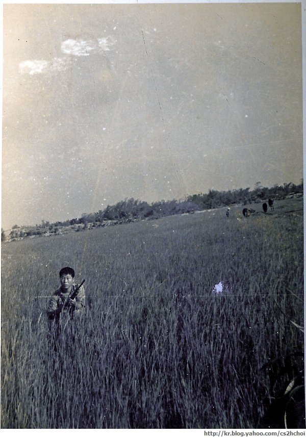 청룡3대대 11중대 방석의 이모저모 - vietnam 1968.