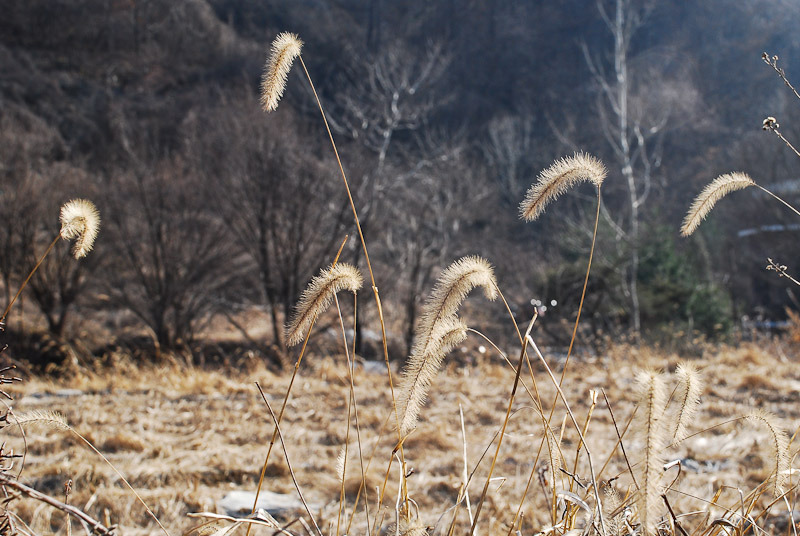 021C8B3650A5E57020505B