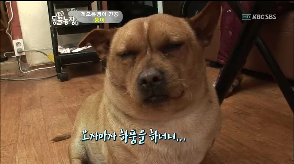 더블클릭을 하시면 이미지를 수정할 수 있습니다