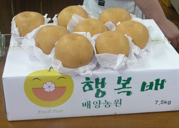 설날 준비 유기농배 어떠세요.