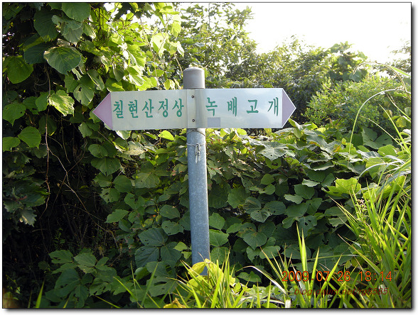 한남금북정맥6차(82번국도<월드사우나> - 3정맥분기점)