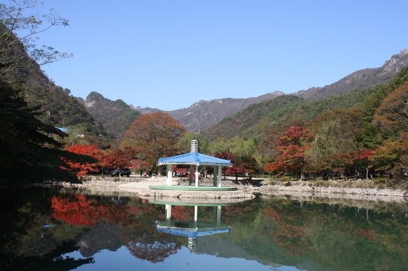 백양사 이미지