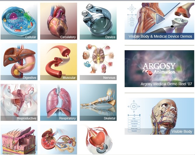 Respiration-Ventilation 3D Medical Animation