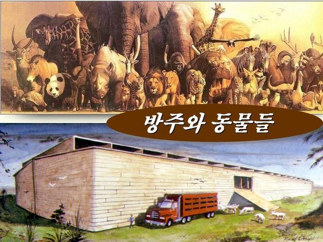 노아의방주 이미지