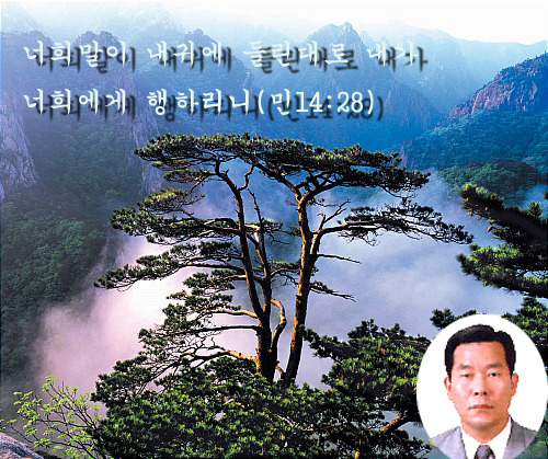 큰 축복의 땅 5000평  