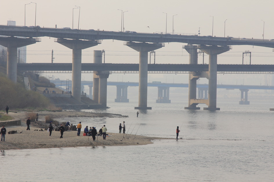 봄이오는 양재천