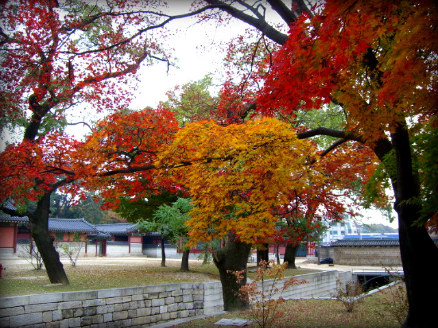 1270AD134AF5AB9706B9DB