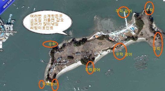 추도우럭 이미지