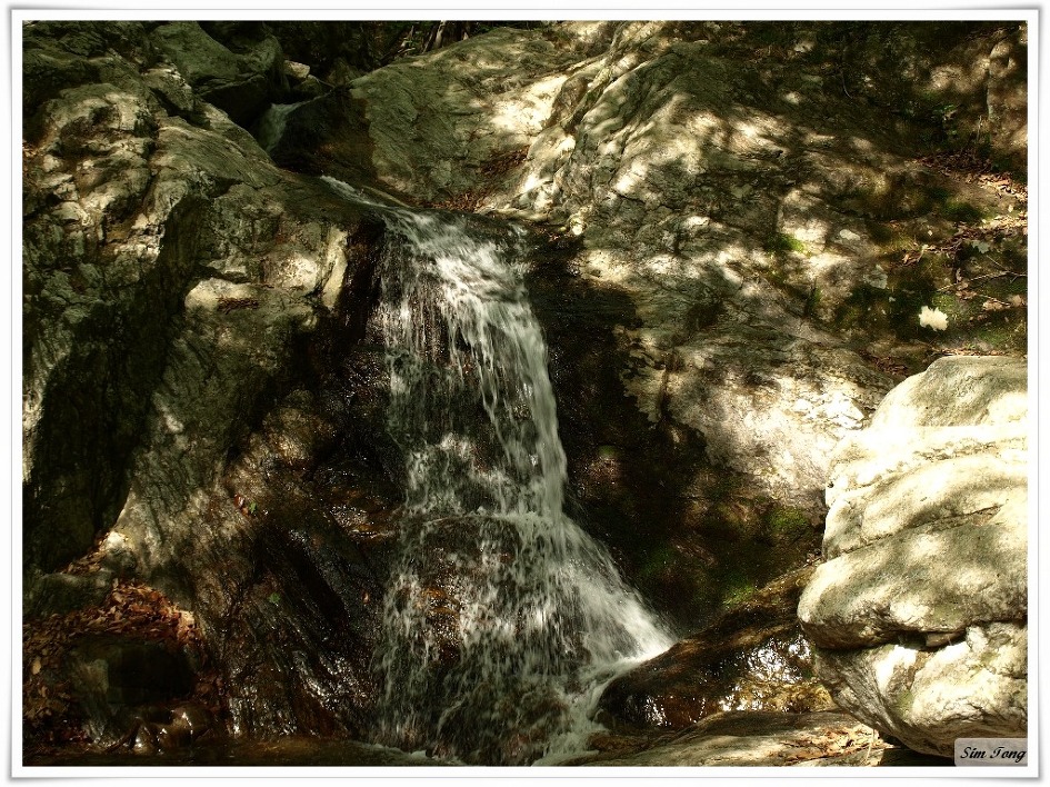 산행기록 제121회('09.4.18)- 130회('09.6.20)