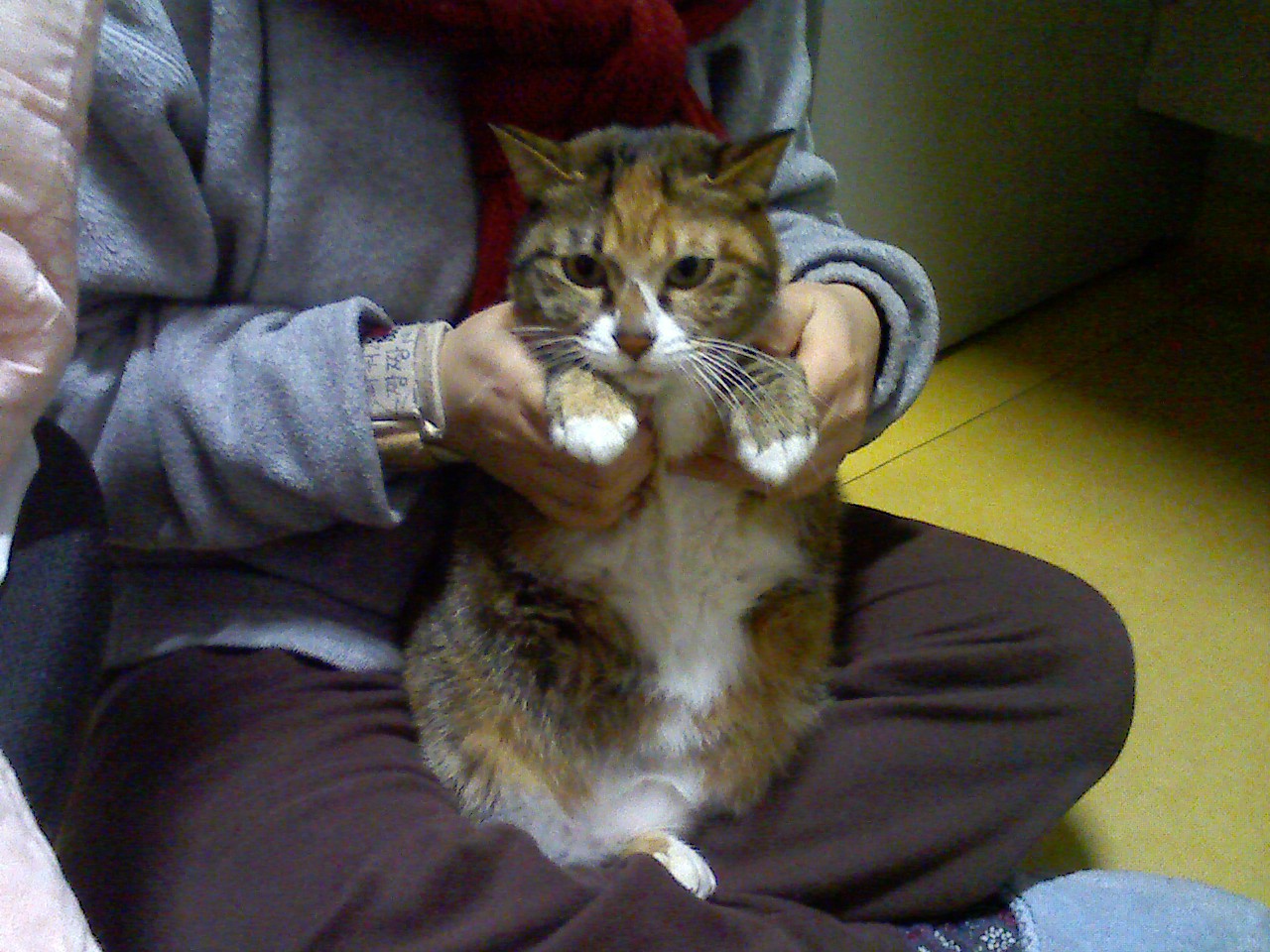 프로필 이미지