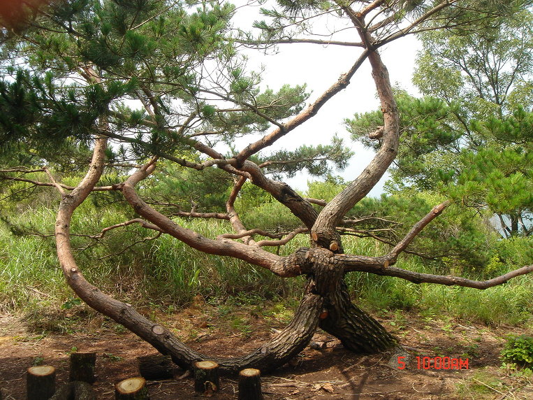 칠성슈퍼 이미지