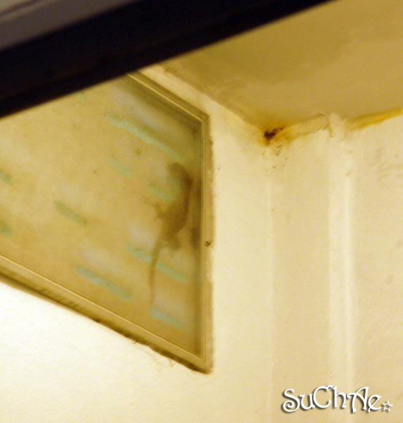 1358CA4E4E96932826BAB2