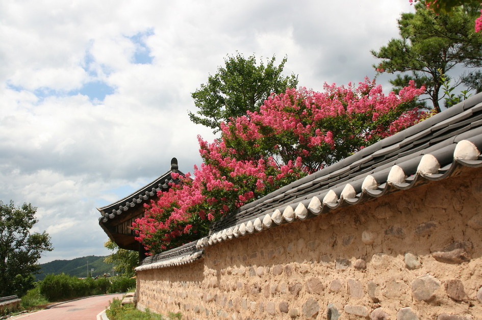 꽃담 이미지