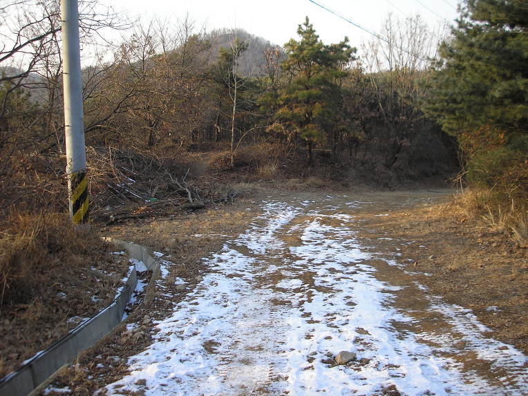 황제카센타 이미지