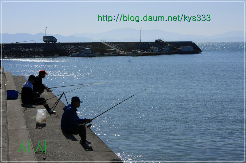 장흥 키조개와 바닷가 풍경...2011. 10월.