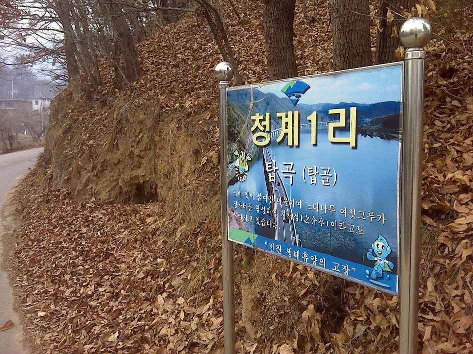 송년산행을 ~~~양평 청계산에 오르면서...