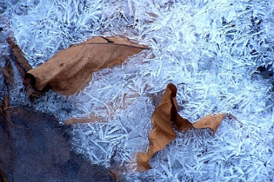 2012년12월9일=포항 내연산(문수봉.삼지봉)