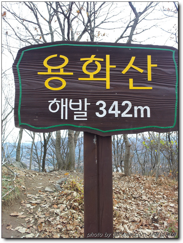 봄:하루 이미지