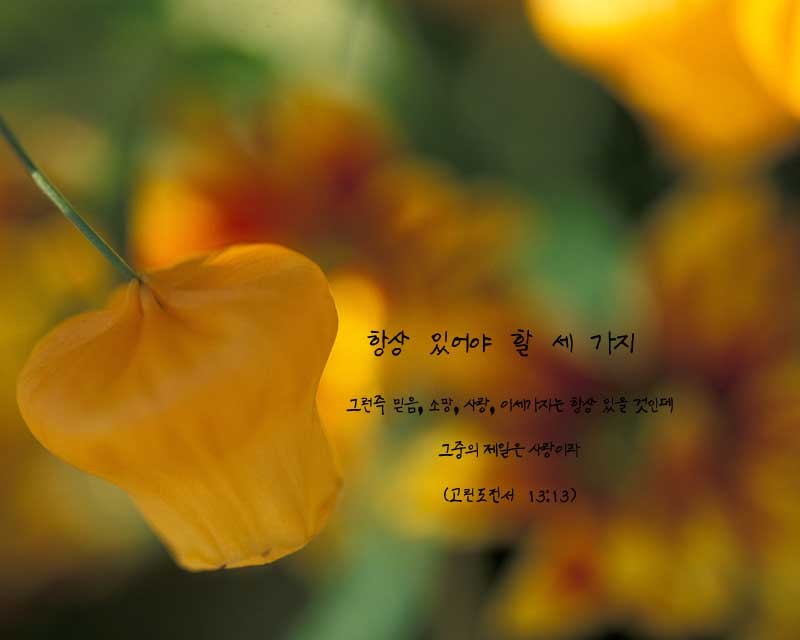  (정의)항상 있어야 할 세 ... 