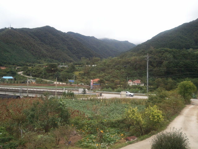 방태산약초 이미지