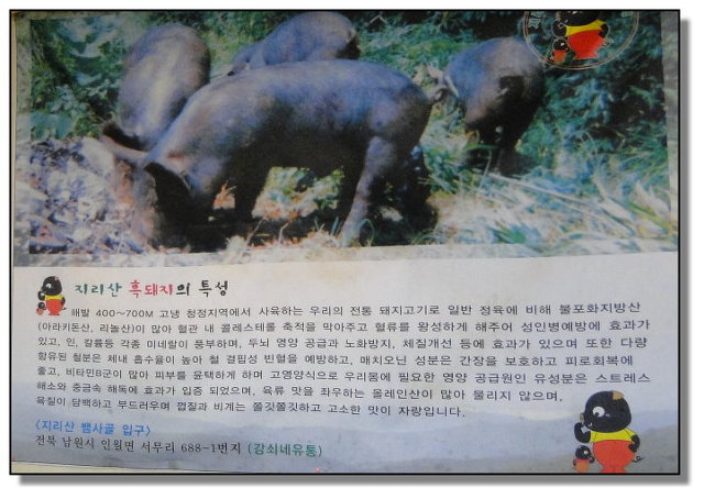 꺼먹돼지 이미지