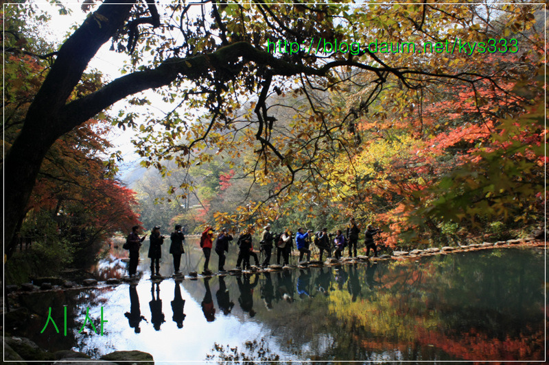 만추의 백양사 아름다운 단풍 2탄...2012. 11월 7일
