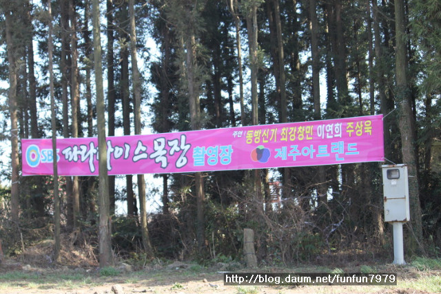 (주)보라투어 이미지