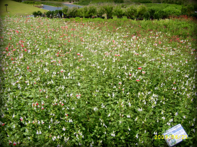 166570224A3DF3EB168D72