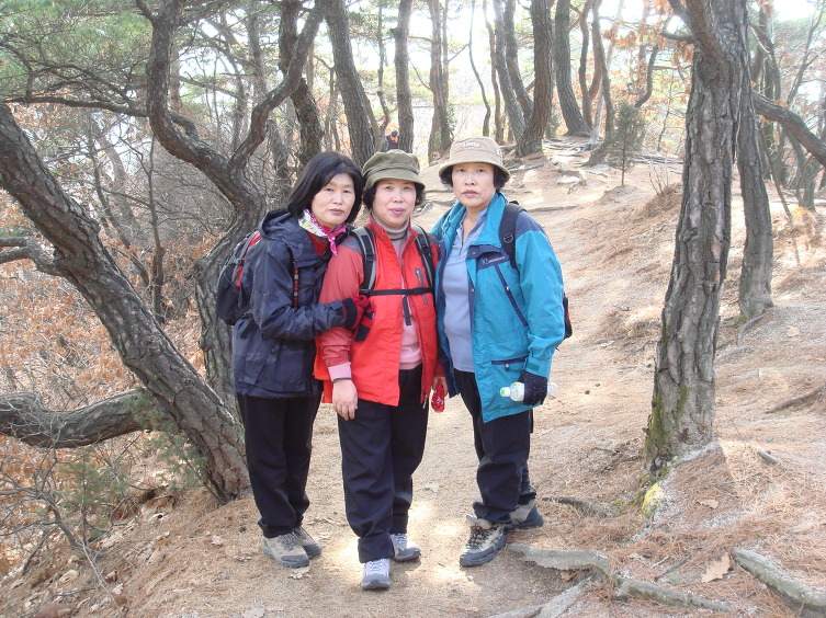 고경초등학교 이미지