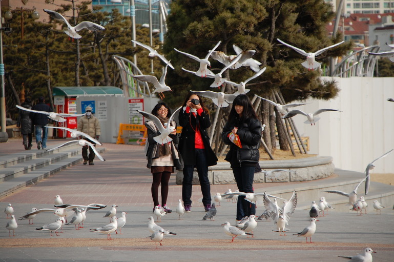 금수복국 해운대 본점  (부산 여행중에)
