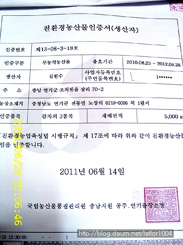 감자옹심이 떡복이