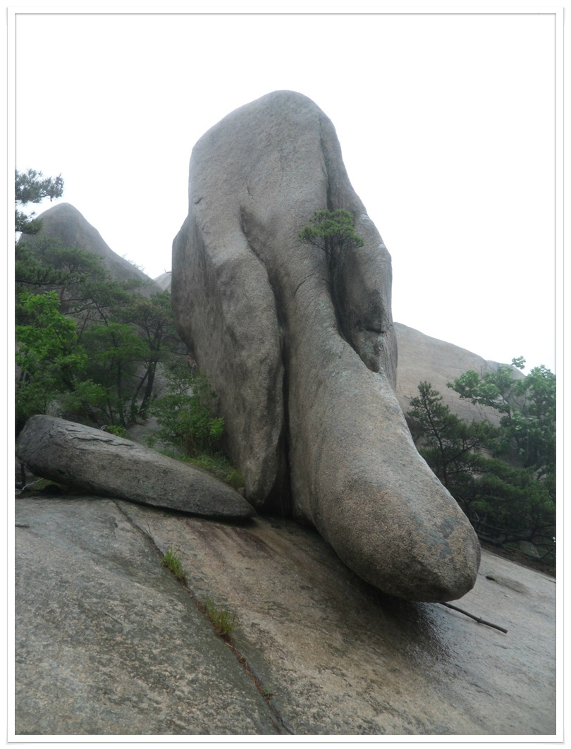 충청의 산