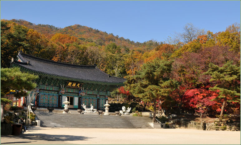 재단법인 참선재단 이미지