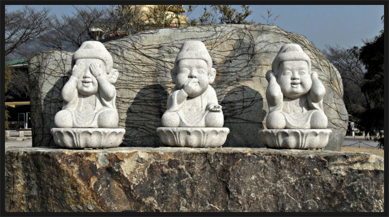 마니주 이미지