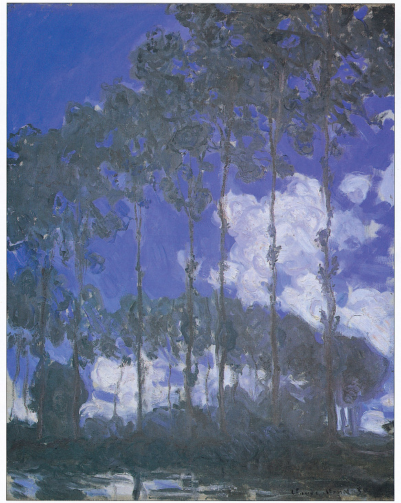 포플러(poplar) 이미지