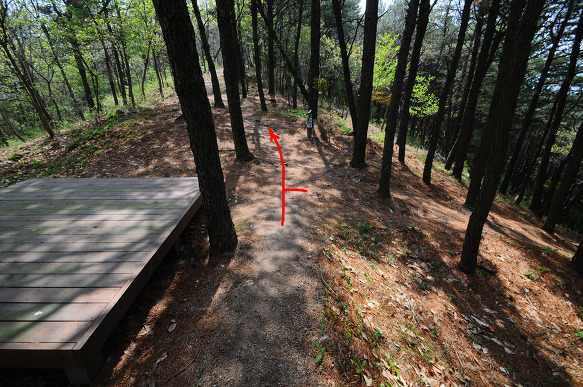 동산다방 이미지
