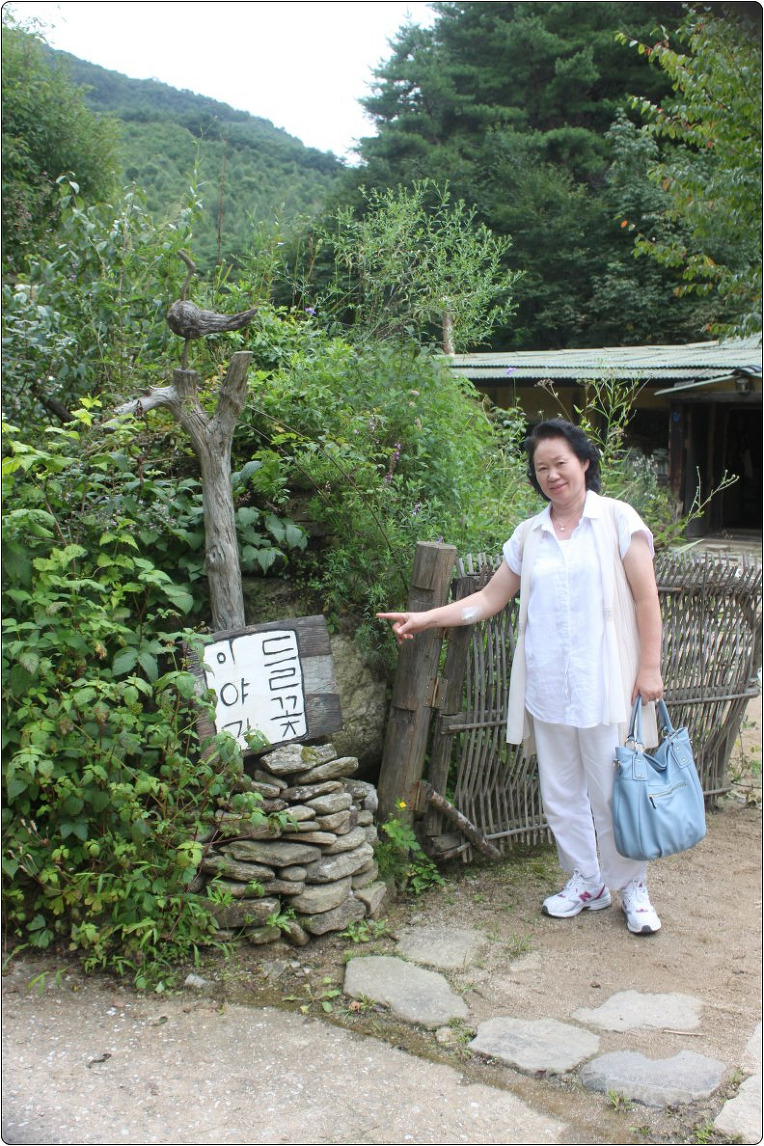 들꽃이야기 이미지