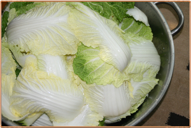 토마토맛김치만들기