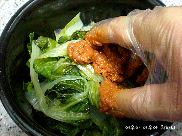 간단하게 만들어 먹는 시골밥상-봄동 시래기 조림^^