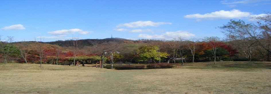장미공판장 이미지