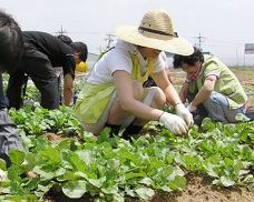 푸드마일 이미지