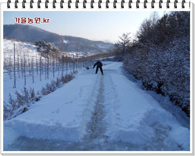 농원집 이미지