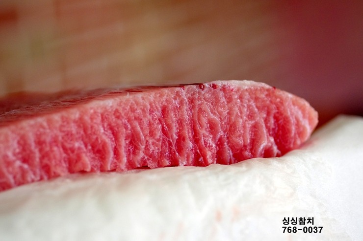 싱싱참치 이미지