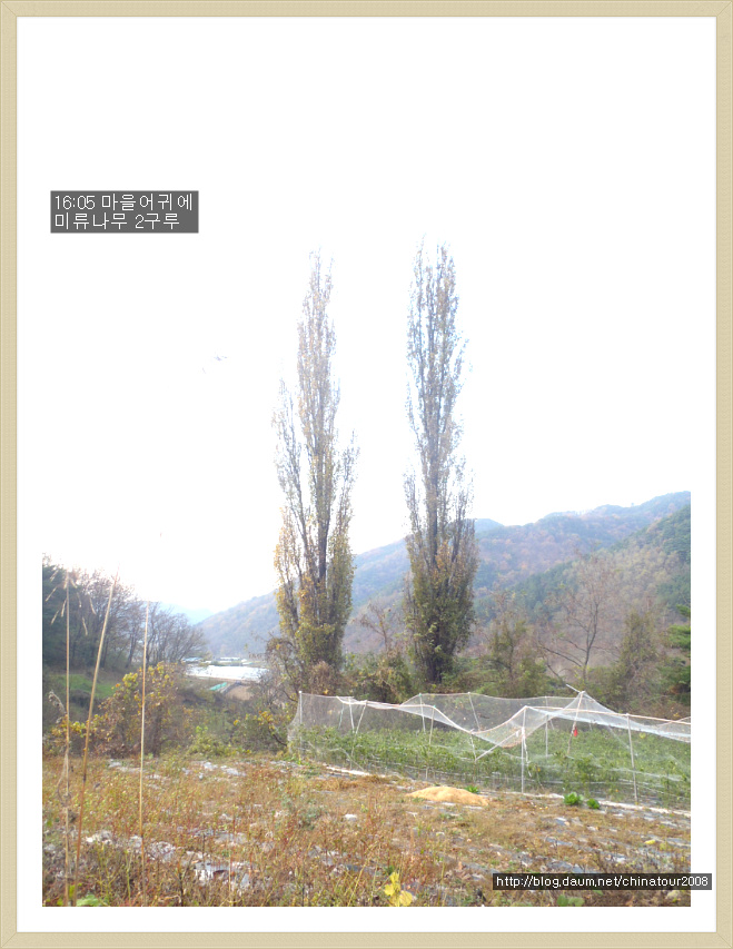 도원고등학교 이미지