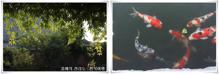동락원 이미지