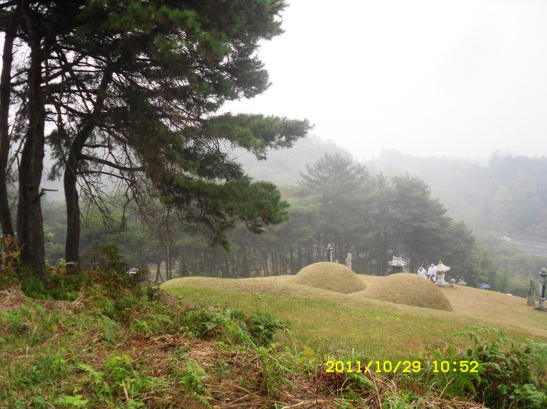 196D74414EABE8FB1BDAE3