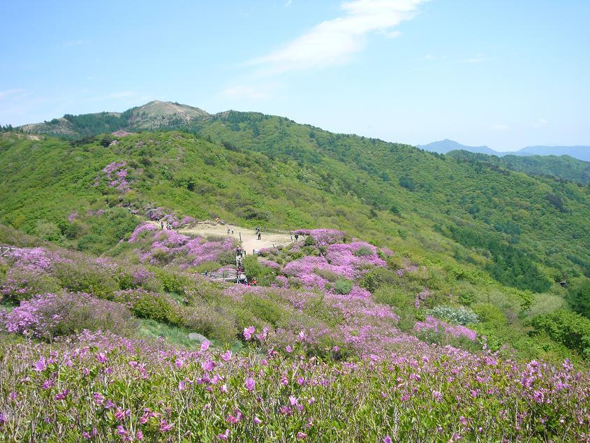 2007년 지리산 대종주