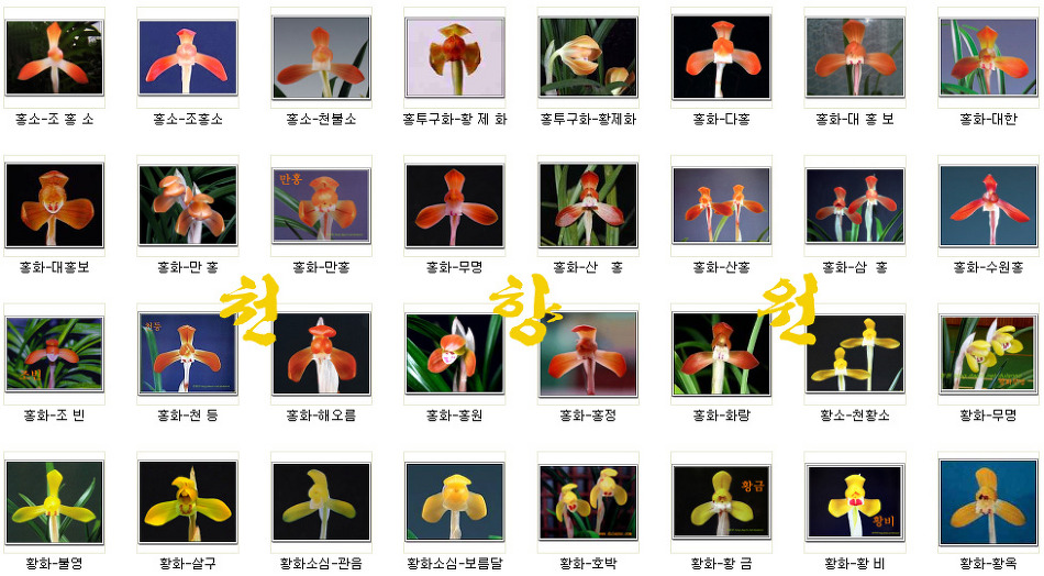 천향원 이미지