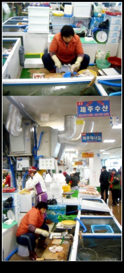 봄향기펜션 이미지